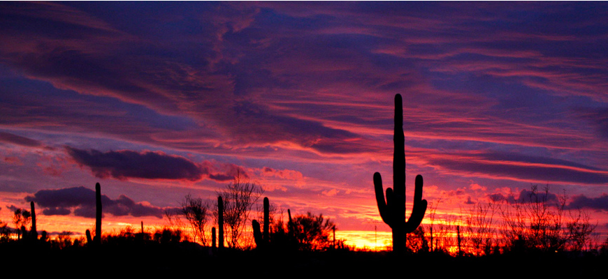 The Best Lesbian Meetups of Arizona: Phoenix, Tuscon and Chandler