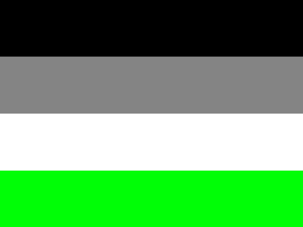 Agender Meaning Flag Her