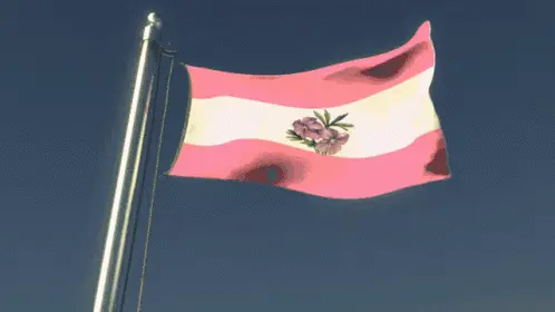 What does sapphic mean and how does the flag look?