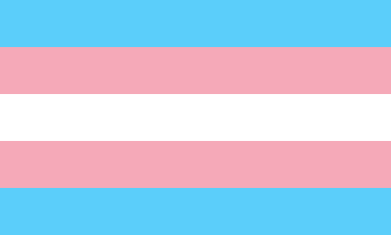 All about the Trans flag - HER