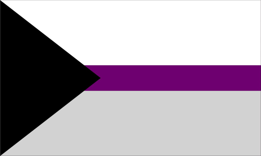 The demisexual flag represents demisexuality, a lack of attraction unless a strong emotional bond has been formed. The flag is made of 4 components: a white stripe at the top, a purple stripe in the middle, a gray stripe at the bottom, and a black triangle on the left overlapping the three stripes
