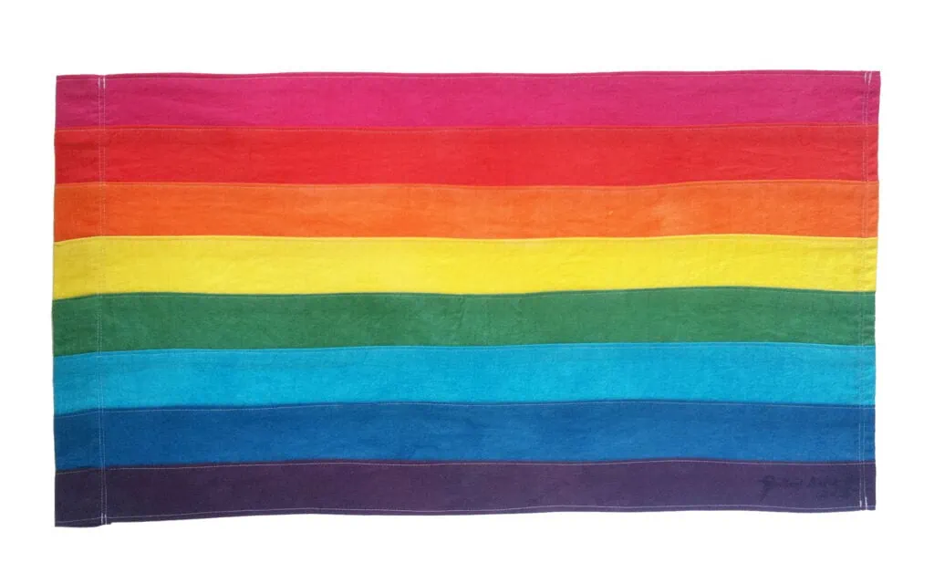 This rainbow flag was designed for the 1978 San Francisco gay march and has eight colors: hot pink, red, orange, yellow, green, turquoise, indigo, and violet.
