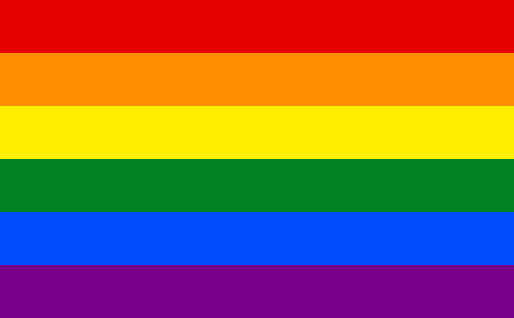 The queer flag image today has six colors instead of eight. There is now red, orange, yellow, green, blue, and violet.
