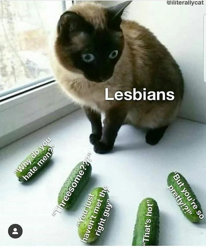 A meme portraying a terrified cat looking at five cucumbers all around it. The caption says “lesbians” and the cucumbers show all of the unsolicited messages from cis men reading “why do you hate men?,” “threesome?”, “you just haven’t met the right guy,” “that’s hot,” and “but you’re so pretty?!”