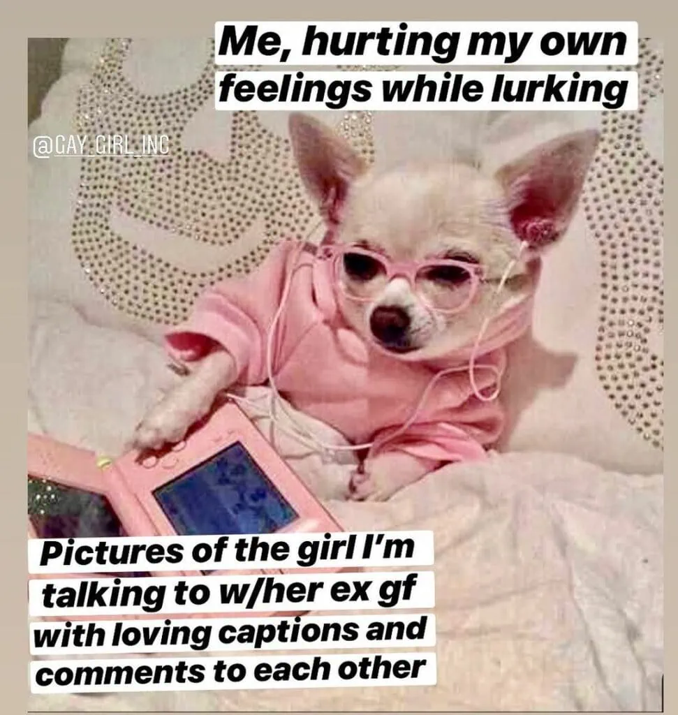 A white chihuahua tucked into bed with pink glasses and a pink sweater with pink headphones in holding a Nintendo DS. The text over the chihuahua reads: “Me hurting my own feelings while lurking.” The text over the Nintendo DS reads “pictures of the girl I’m talking to with her ex girlfriend with loving captions and comments to each other.”