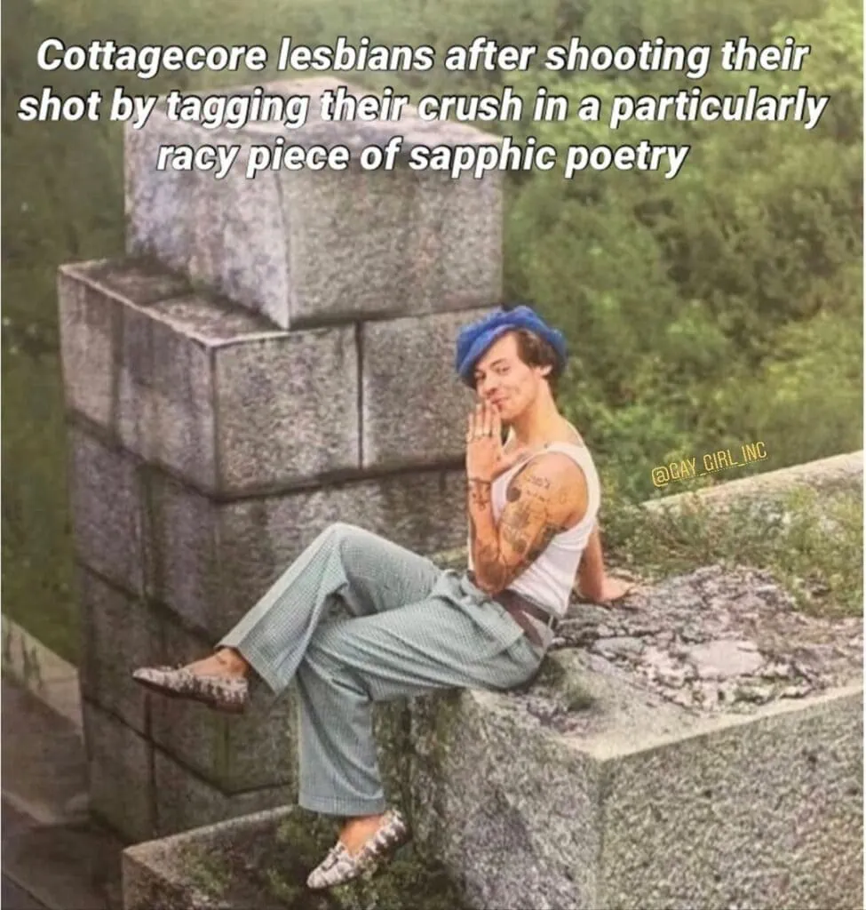 A cottagecore lesbian meme for queers on Tumblr