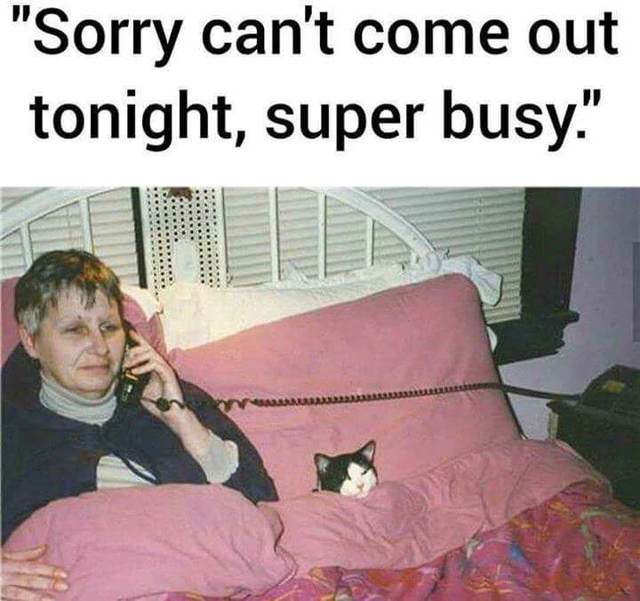A meme portraying a woman with her cat lying in bed, tucked in together, on the phone, saying she can’t come out tonight, she’s super busy…