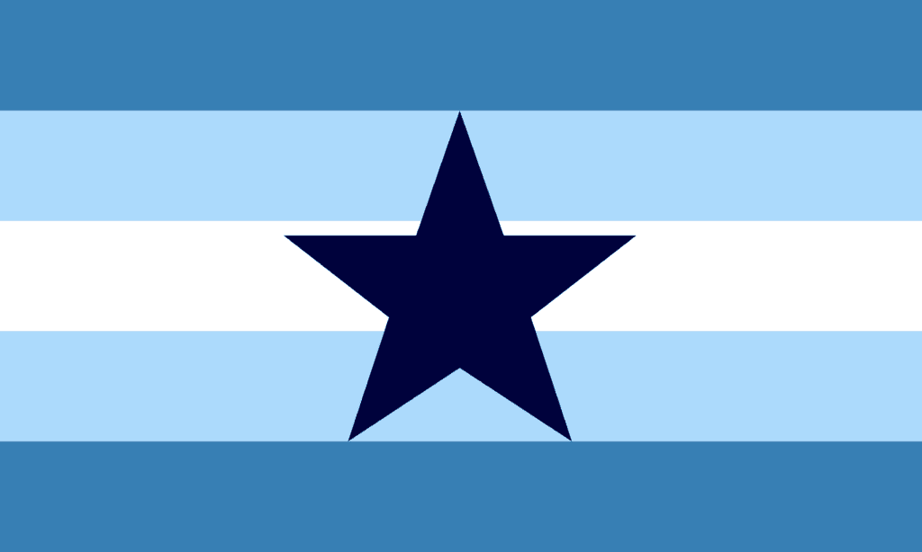 The stargender flag has five horizontal stripes. In the center is a white stripe, flanked above and below by light blue stripes. On the top and bottom of the flag are darker blue stripes. In the center there is a dark blue star with five points.