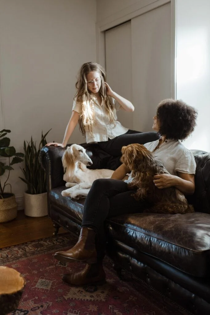 A queer couple talking on a leather couch, with two dogs beside them.