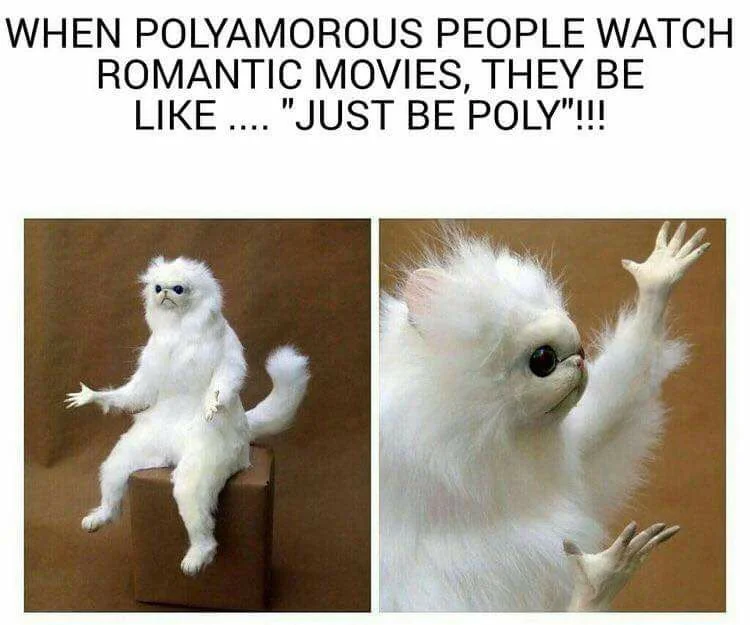 A meme featuring a Persian cat with its hands outstretched and the text: “When polyamorous people watch romantic movies, they be like ‘just be poly!’ 