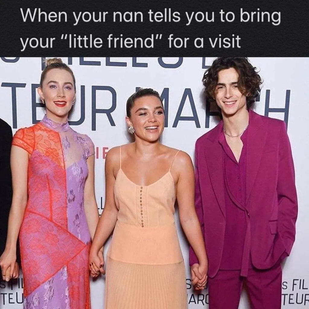 A polyamorous relationship meme of Saoirse Ronan, Florence Pugh, and Timothée Chalamet dressed up in fancy outfits all holding hands at a movie premiere with text that reads: “When your nan tells you to bring your ‘little friend’ for a visit” 