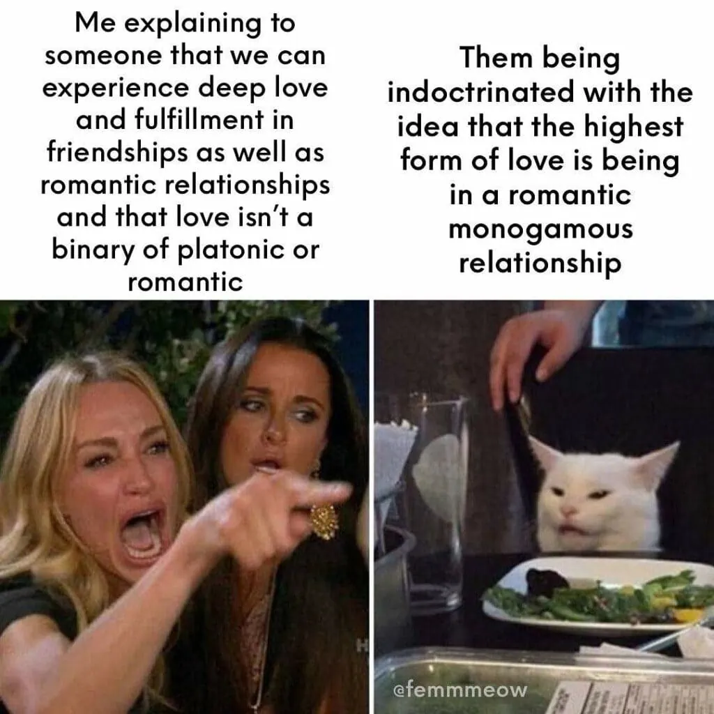 The angry woman yelling at Smudge cat meme that reads: “Me explaining to someone that we can experience deep love and fulfillment in friendships as well as romantic relationships and that love isn’t a binary of platonic or romantic vs. Them being indoctrinated with the idea that the highest form of love is being in a romantic monogamous relationship.” 