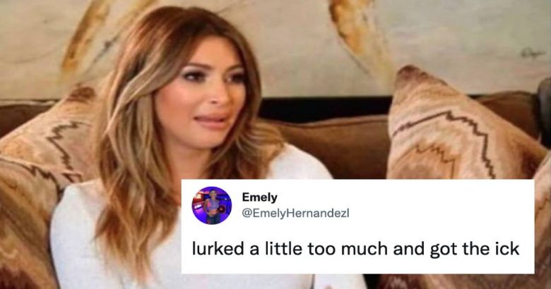 A meme of Kim Kardishan with a disgusted look on her face with a tweet by @EmelyHernandezl reading “lurked a little too much and got the ick.”