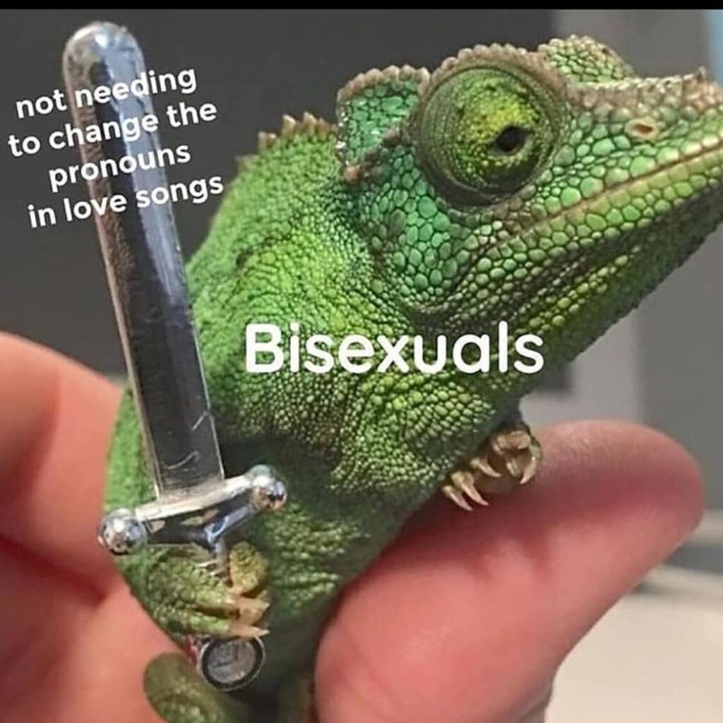 A chameleon holding a sword. The chameleon is labeled as “bisexuals,” and the sword is labeled as “not needing to change pronouns in love songs.”