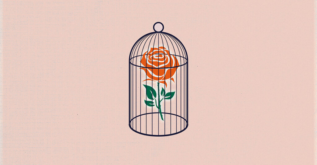 No Touch Top: A Journey Into Queer Culture & Identity