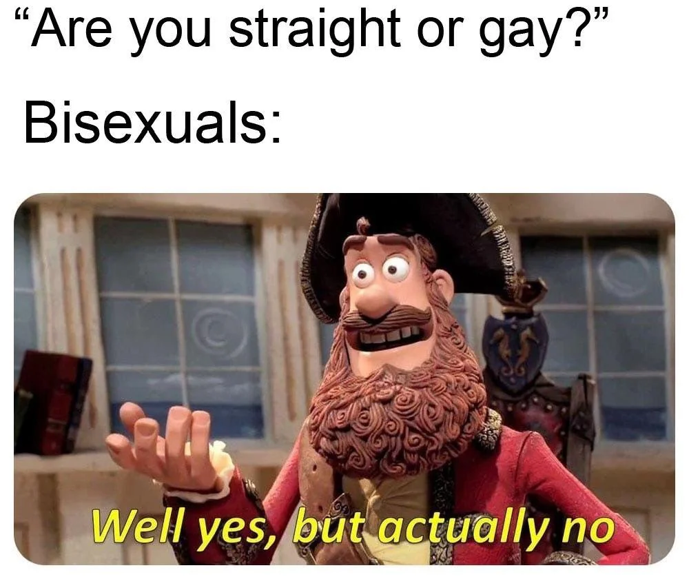 Twitter post with text that reads ‘are you straight or gay’ and the image of a pirate replying ‘well yes, but actually no.’