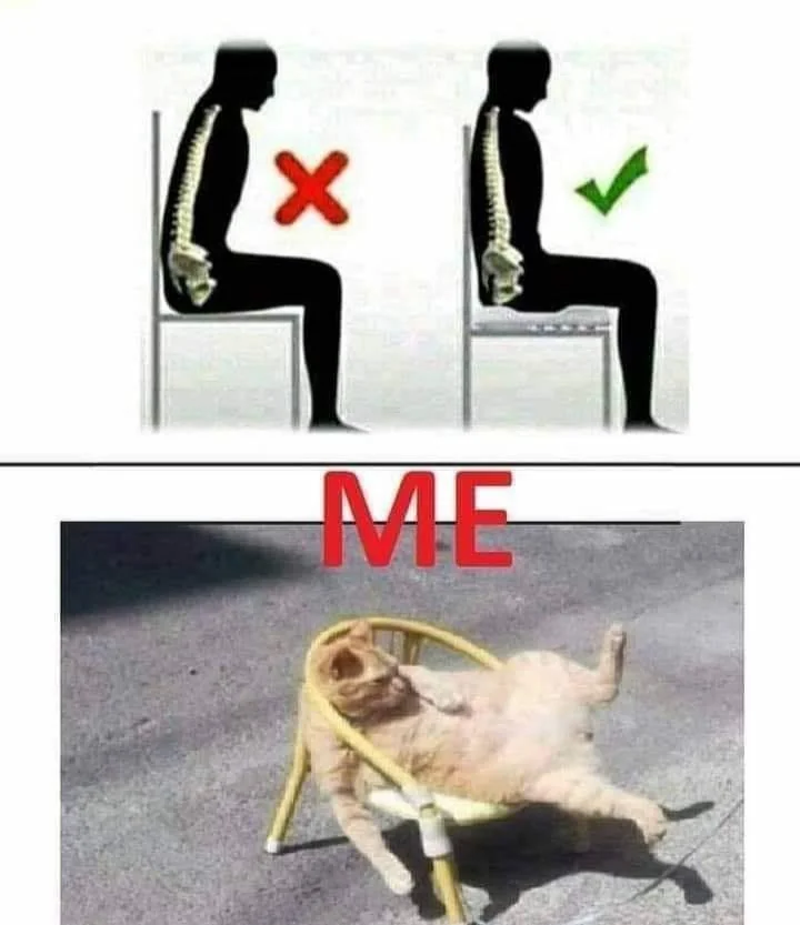 Another meme from the subreddit Actuallesbians, showing a comparison of how you should properly sit, versus a cat splayed out on a small chair.